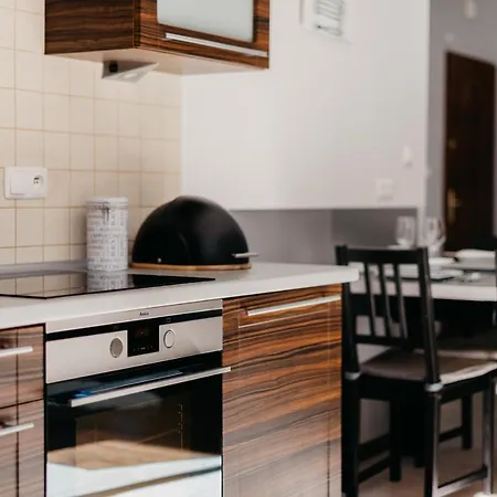 Apartament Kominkowy 아파트 카르파츠